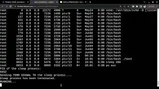 Shell Processes and Signal for Beginners | 100% checked.