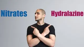 Hypertension medications part 2 شرح بالعربي