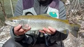 Fly Fishing on Radika River 2023
