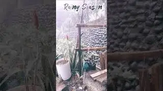 Rainy Season 2023 | Tagudin Ilocos Sur