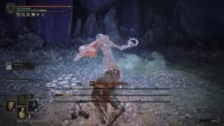 Lost Old Man VS Putrid Crystalian Gank
