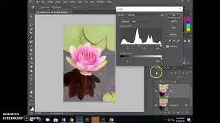 Digital Photo 19/20 - Light editing step by step help