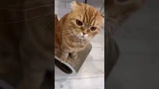Уснули за рулем 