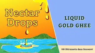 Liquid gold ghee | Гхи жидкое золото