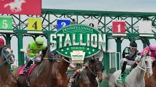 2023 Pennsylvania Stallion Series