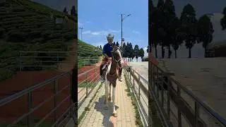 Horse Riding Kanyam #horseriding #kanyam #youtubeshorts