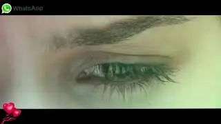 New Whatsapp status Lyrics video...._HD.mp4
