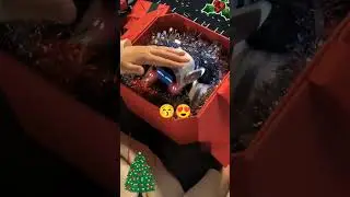 loona robot celebrating the christmas 