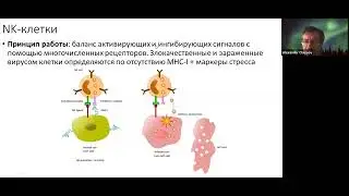 Елизавета Минина "CAR-T: механизмы, плюсы и минусы, перспективы. Часть 2. "