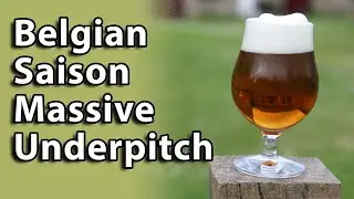 Saison yeast, such a beast - Will It Brew?