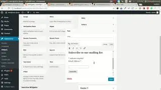 How To Add a MailChimp Sign-up form into WordPress website?