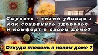 Сырость - тихий убийца: как сохранить здоровье и комфорт в своем доме ?