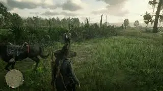 Red Dead Redemption 2 2023 11 08 19 53