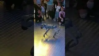Почему памятник этой собаке? интерактивный щенок