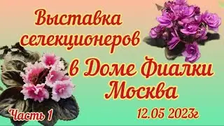 ФИАЛКИ - 2023. Выставка в Доме Фиалки 12.05.23 в Москве 