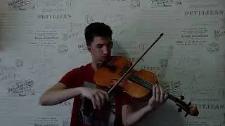 SHUMEI - Біля тополі (viola cover)