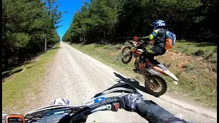 SUNNY CORNER WHEELIES