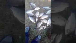 Рыбалка на Кириловке, Бурлинский район, Алтайский край, 2020 год
