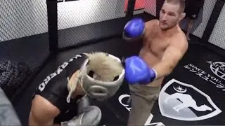 Sean Strickland Mauls Small Japanese Champion