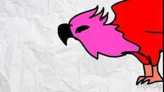 Попугаи, Бразилия, Flipaclip