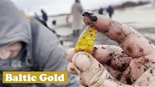 First Amber Hunting of 2022! And giveway winner announcement