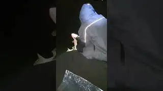 Покатались с Алексеем Евстафьевым! Остались лишь положительные эмоции!