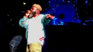 Web - The Roots 31-Aug-2024 Vienna, VA at Wolf Trap, Hip Hop Is The Love Of My Life Tour