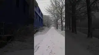 3 ноября 2022 г.