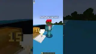 Minecraft Telepathy 14