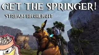 Guild Wars 2: The Springer 🐰 | HOW TO GET IT | EVENT | STREAM HIGHLIGHT