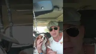 Анекдот. Поможет...