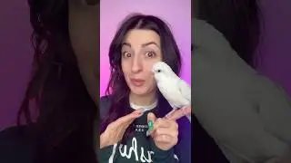 SKY IS A SMART PARROT 😂