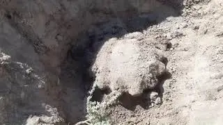 КОП ПО ВЫБИТЫМ МЕСТАМ! МЕТАЛЛ БЫЛ, ЕСТЬ И БУДЕТ!