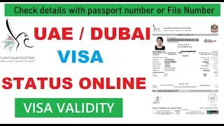 Dubai Visa Check Online | How To Check UAE Visa Status/Validity | Check Your Dubai/UAE Visa Status