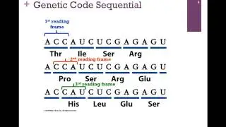 183-Overview of Translation