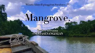 Kejutan Wisata di Pelosok Surabaya ???!! Kereeen !! Ekowisata Mangrove Surabaya