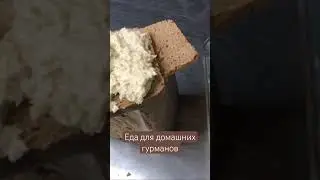 Селедка и свежий хлеб это всегда очень вкусно