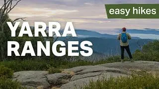 Best Beginner Hikes in the Yarra Ranges (Rainforest Gallery, Marysville, Lake Mountain)