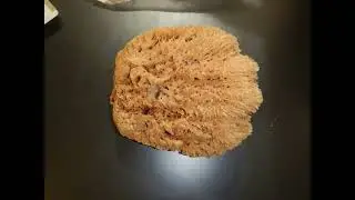 sponge spicules