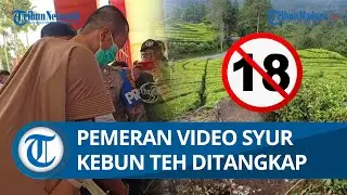 TERCIDUK! Pemeran Wanita yang Lakukan Aksi Tak Senonoh di Kebun Teh Ciwidey Diamankan Polisi