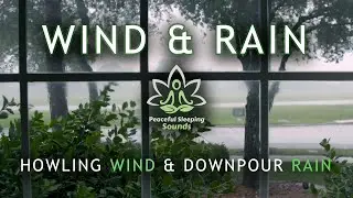 Sleep instantly with Wind & Rain Sounds - Howling Wind & Downpour Rain on Window