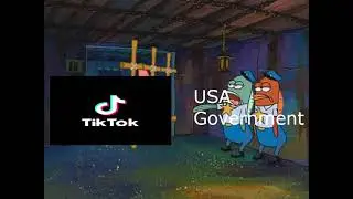 Literally TikTok