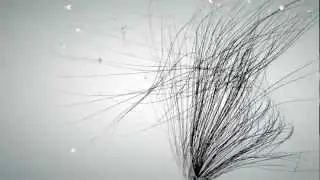 Tracing particles - Sketch & Toon - Cinema 4d