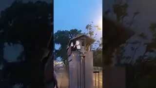 Чижик пыжик, Фонтанка май 2024 г