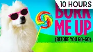 Bork Me Up (Before You Dog-Go) | 10 HOURS