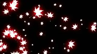 CG Spreading maple leaves.