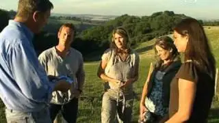 Fotósuli-állatok