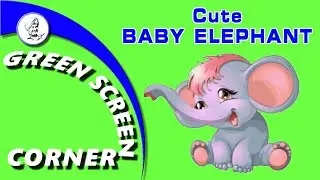 CUTE BABY ELEPHANT Green Blue Screen Corner Chroma Key Animation Zoo Animals Kids Children Funny