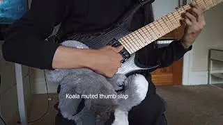 What happens if you Palm Mute Slap?