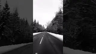 У каждого свой путь. Дорогою добра. 